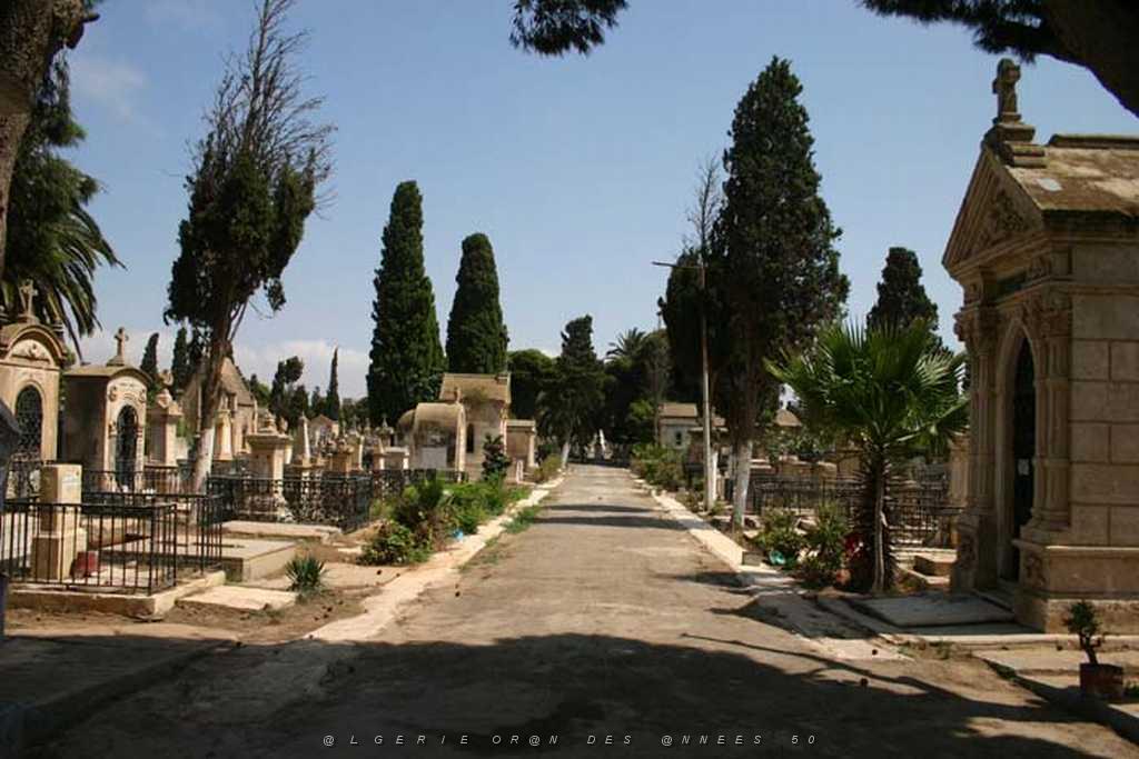 ORAN 2008 CIMETIERE DE TAMASHOUET 101 Allee principale.jpg